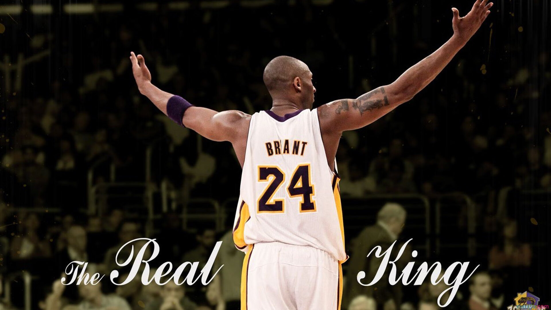 从温网逆转戴维斯杯，穆雷如何用不屈意志点燃赛场